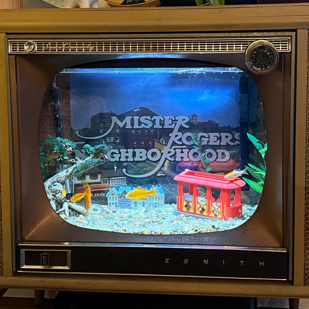 Perfect for Goldfish.